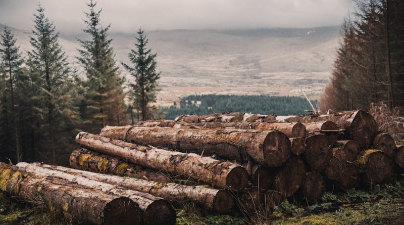ruyada ahsap merdivenden dusmek ne demek